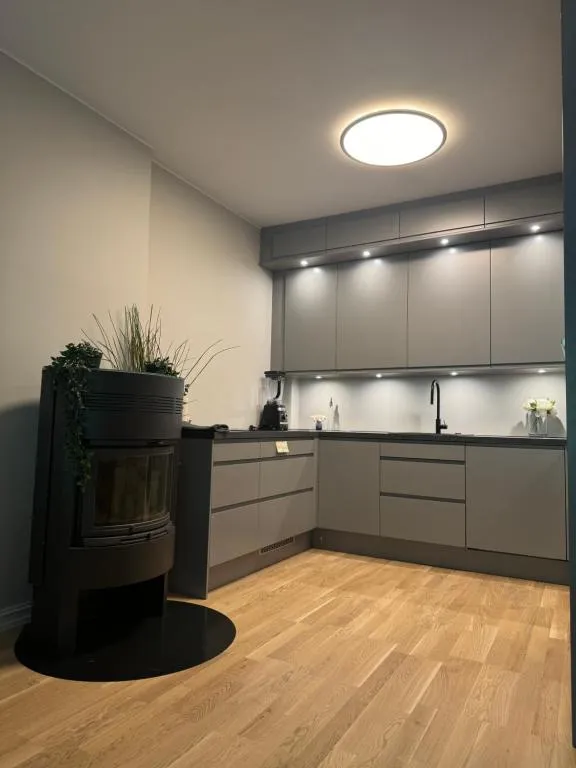 Image of Central apartment in Frogner