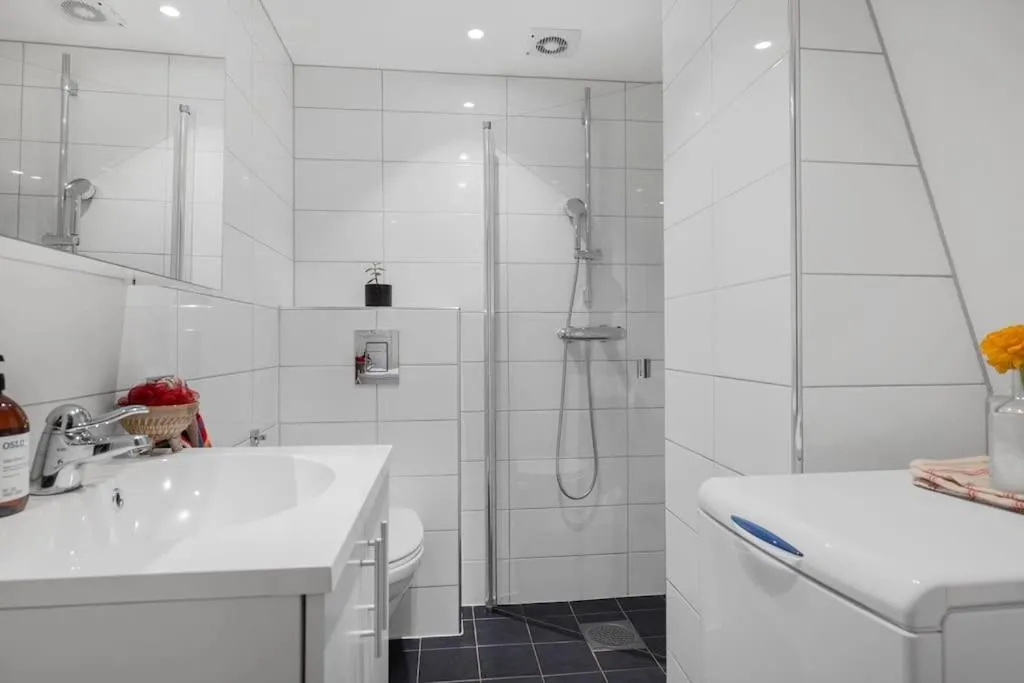 Image 1 of Loft apartment in Oslo