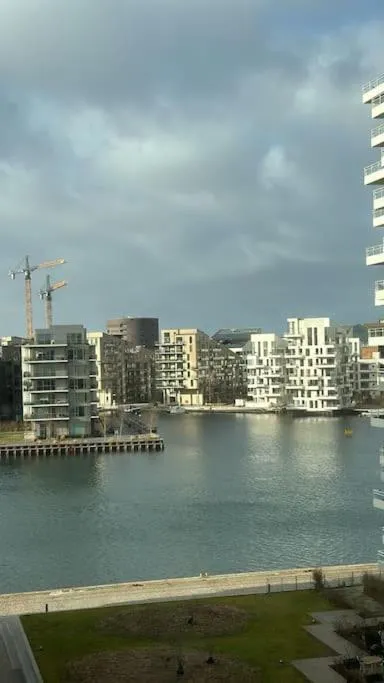 Image 3 of Luxury apartment by the beach
