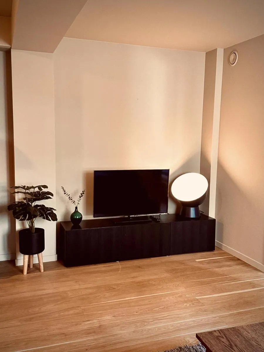 Image 4 of Magnificent Modern Apartment Central Oslo