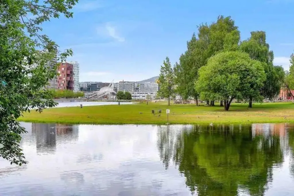 Image 5 of Moderne sentrumsleilighet