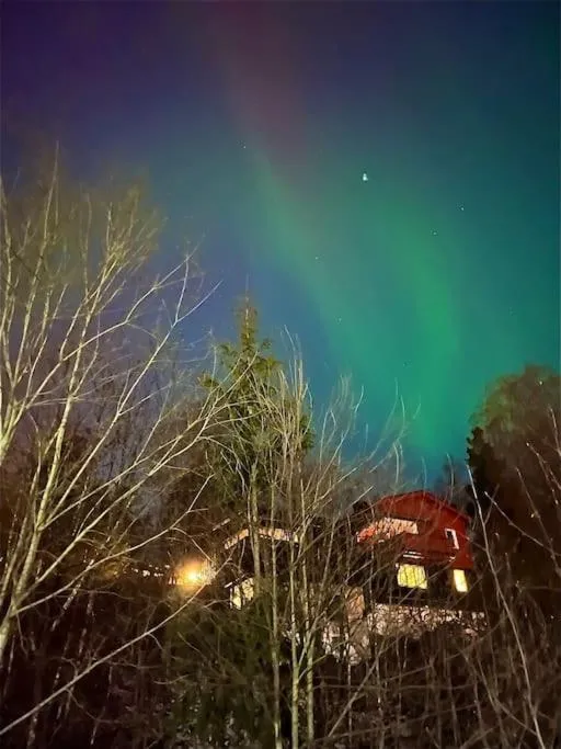 Image 3 of The best view in Oslo
