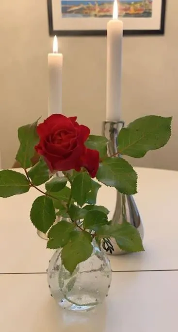 Image 6 of Exclusive, cosy, elegant Frogner apartment in the center of Oslo