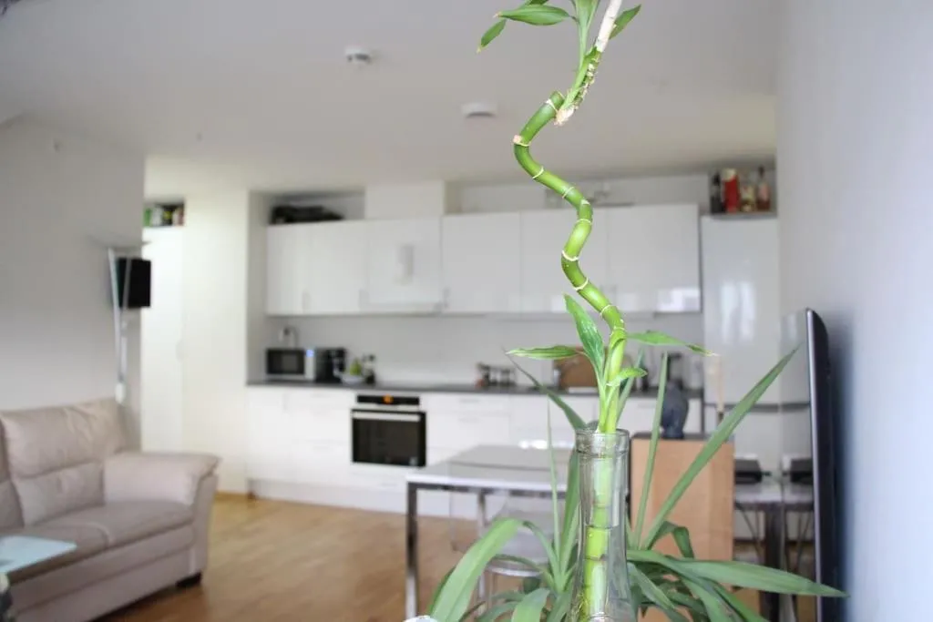 Image of central, new, 2 bed rooms, fully furnished