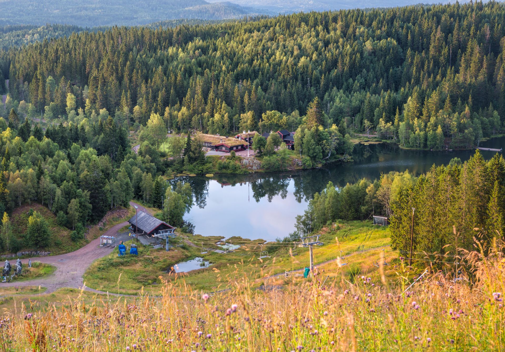 Nordmarka Forest